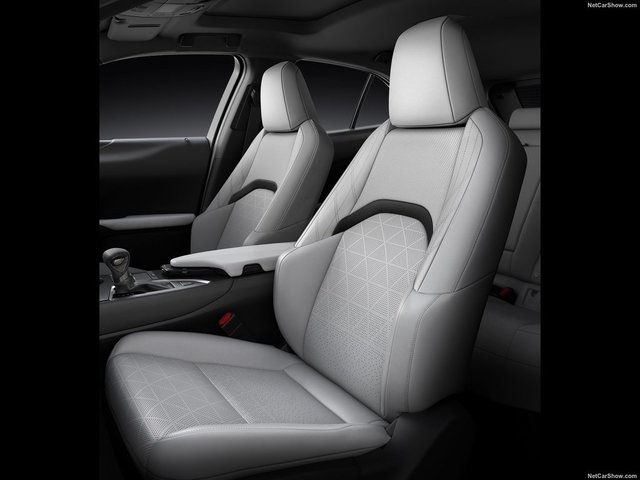 Lexus-UX-2019-1600-40-2.jpg