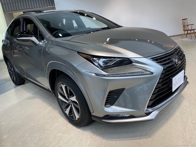 LEXUS RX・NX（旧モデル）: のんびりなまけにっき２